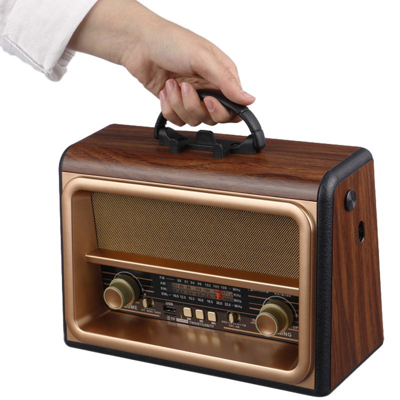 رادیو اسپیکر بلوتوثی رم و فلش خور golon rx-bt89 رادیو اسپیکر بلوتوثی رم و فلش خور golon rx-bt89